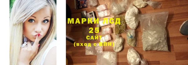 прущие грибы Белокуриха
