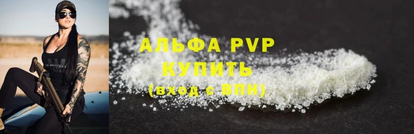 прущие грибы Белокуриха