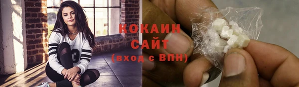прущие грибы Белокуриха