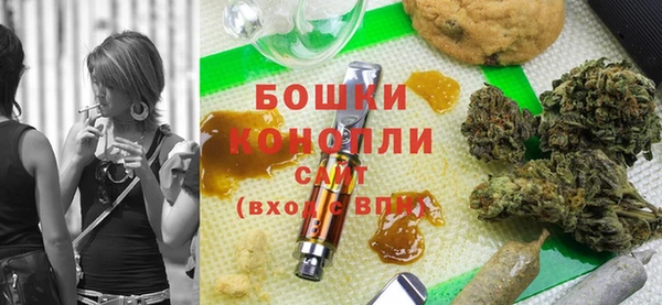 прущие грибы Белокуриха