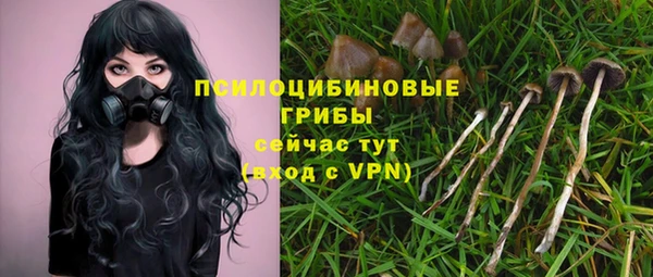 apvp Няндома