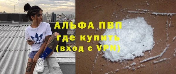 прущие грибы Белокуриха