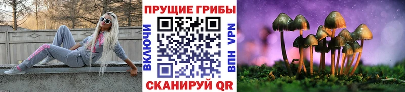 Галлюциногенные грибы Cubensis Реутов