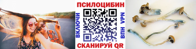 Псилоцибиновые грибы ЛСД купить сайты hydra маркетплейс Реутов